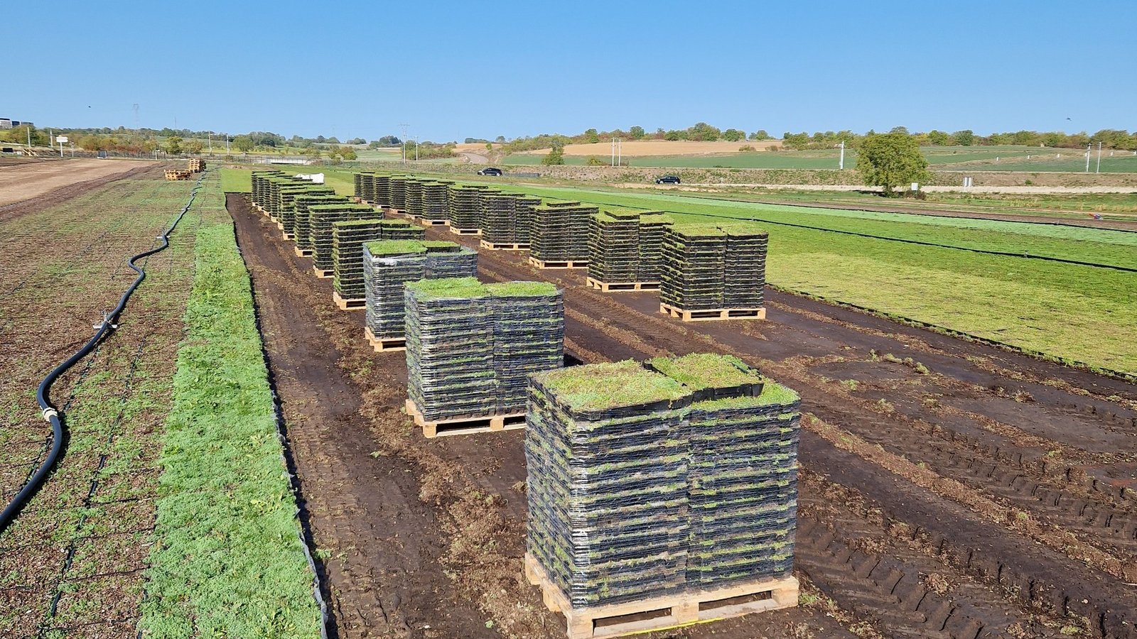 toiture-vegetale-ruffey-les-echirey